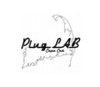 Plug Lab